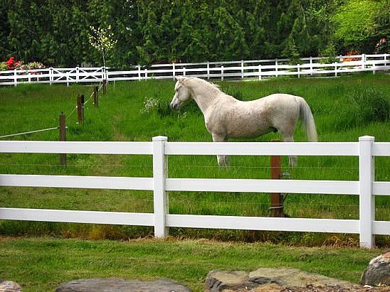 Valley Vista Farm